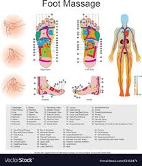 foot massage point charts