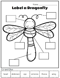 Printable Preschool Bug Activities For Learning Fun Bugs Preschool Bug Activities Insects Kindergarten