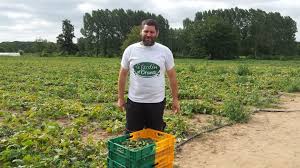 Olivier Corbin Dans Son Champ De Cornichons Francais Agriculteur Cornichon France