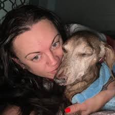 How to contact SAINTS about adopting a dog?