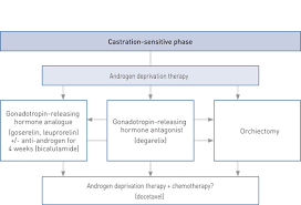 Goserelin (zoladex) for prostate cancer. Modern Treatment Of Metastatic Prostate Cancer Tidsskrift For Den Norske Legeforening