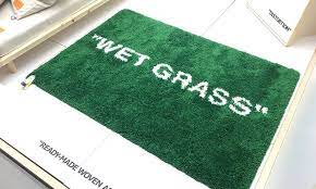 Pin By Mikegspammail On Room Ikea Rug Grass Rug Rugs On Carpet