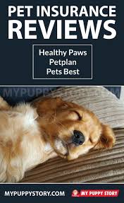 Pet Insurance Reviews Healthy Paws Petplan Pets Best Pet Insurance Reviews Pet Insurance Dog Insurance