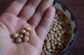 If you love a strong garlic flavor in hummus, you might want to increase the garlic by a clove or you can add roasted garlic — here's how we roast garlic. How To Cook Dried Chickpeas Garbanzo Beans The Pesky Vegan