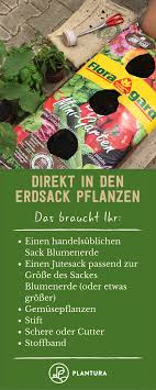 Direkt In Den Erdsack Pflanzen Anleitung Zum Mini Garten In 5 Minuten Plantura Gemusepflanzen Direkt In Den Erdsac In 2020 Mini Garten Pflanzen Gemuse Beet Anlegen