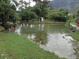 Pemandian air panas ciater pilihan wisata dengan berbagai kolam pemandian air panas yang menyegarkan. Tempat Menarik Di Semenyih Untuk Percutian Anda Ammboi