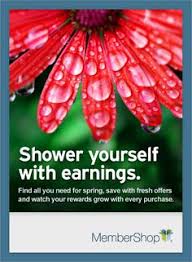 Find the best ftd.com coupons and promo codes here at promocodesforyou.com! 31 Spring Has Sprung Ideas Spring Has Sprung Spring Fever Flower Delivery
