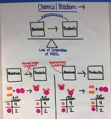 Ms Ps1 5 Anchor Charts The Wonder Of Science
