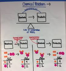 ms ps1 5 anchor charts the wonder of science