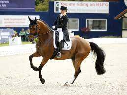 Ota yhteyttä sivuun grand prix messengerissä. Hagen Isabell Werths Emilio Mit Dem Grand Prix Seines Lebens