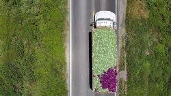 See how the company linked to cyclospora outbreak has a history of deflecting blame