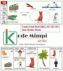 Erek Erek Kucing Di Buku Tafsir Mimpi Dan Kode Alam 2d 3d 4d Kode Mimpi