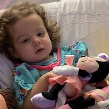 Fundraiser for Rebecca Galatas by Alison Anderson : Help Miss Shelby Mae  kick cancers butt!