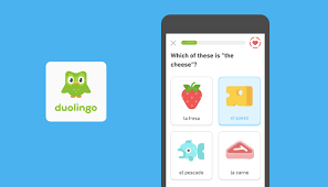 With our current ability to use language tools on the go, this is the golden age of language apps. Top 10 Language Learning Apps To Ease Down Study Load 2021