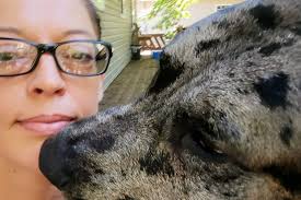 Fundraiser for Adam Gilly by Maggi Zimmer : Help Honor Alice's Life