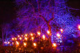 See 209 reviews, articles, and 10 photos of otsiningo park, ranked no.2 on tripadvisor among 27 attractions in binghamton. Christmas At The Botanics In Photos The Edinburgh Reporter