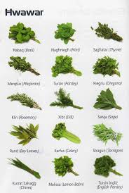 Hwawar Herbs Cooking Herbs Herbs Food Flashcards