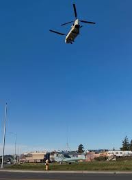 Image result for Rawsonia burtt-davyi