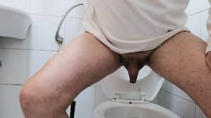 Cacca nel wc - video 2 - ThisVid.com