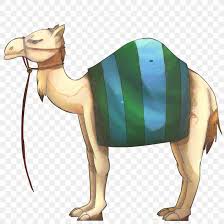 Camels have long played an important role in many aspects of desert life. Dromedary Camel Racing Bedouin Image Drawing Png 3000x3000px Dromedary Animal Figure Arabian Camel Art Bedouin Download