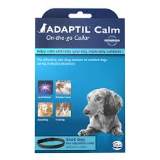 Calming treats contain ingredients, such as hemp oil and chamomile, that help with digestion, anxiety, general health, stress, and nausea. Puppy Calming Treats Petsmart Review At Puppies Addlab Aalto Fi