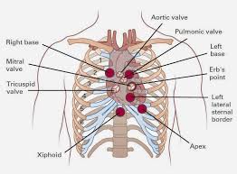 Compared to the cardiac and pulmonary exams, auscultation of the abdomen has a relatively minor role. Base Of Heart Auscultation