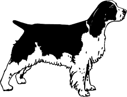 Black And White Springer Spaniel Clipart English Springer Spaniel Sticker English Springer Spaniel Stickers English Springer Spaniel Decals English Springer Spa Springer Dog Spaniel Dog Template