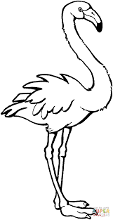 Free printable flamingo coloring pages. Flamingo Coloring Page Coloring Home