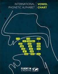 It was devised by the international phonetic association as a standardized representation of the sounds of spoken language.1 the ipa is used by foreign. 100 Languages Symbols Ideas In 2021 Symbols Language Ancient Alphabets