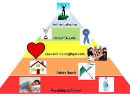 Image result for maslow's hierarchy of needs