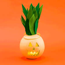 We did not find results for: How To Carve Pineapple And Melon Jack O Lanterns This Halloween Brit Co