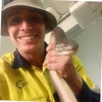 100+ perfiles de «Crowe»