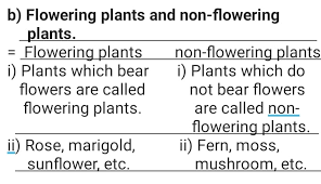 The study of plants is called botany. 1 Write The Two Differences Between Sathya Sai School Facebook