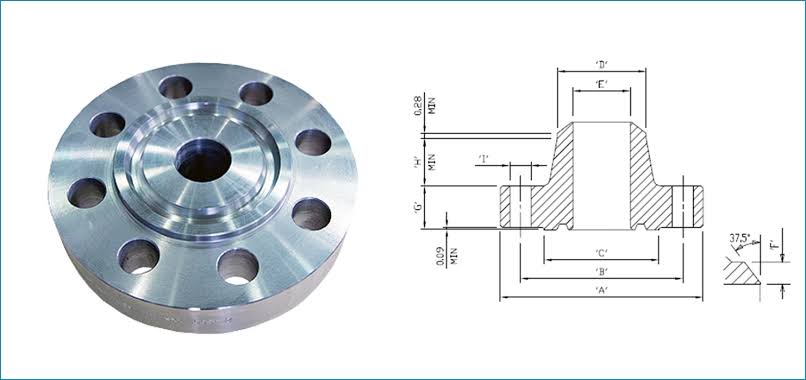 Ring-Type Joint Flanges Suppliers & Exporters IN UAE