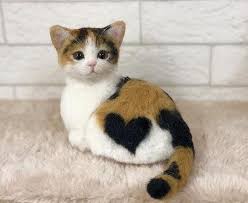 Miyav In Instagram Gonderisi 16 Sub 2019 3 01os Utc Cat Species Cats Animals
