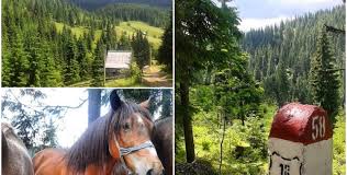 Un proiect făcut cu răbdare de. Satul Poiana Horea Comuna BeliÈ JudeÈul Cluj Cluj Com
