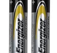 High Capacity AA Alkaline Batteries (2)