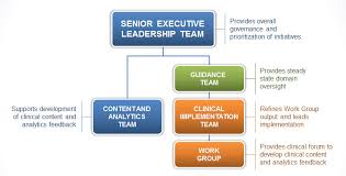 Best Organizational Structure For Healthcare Analytics