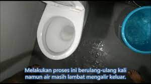 Hidung tersumbat, flu dan pilek merupakan salahsatu masalah pernafasan yang mungkin orang menganggapnya sebagai penyakit sepele dan tidak. Membaiki Tandas Tersumbat Di Lestari Putra Selangor Youtube