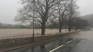 @BridgeGrinton's video Tweet