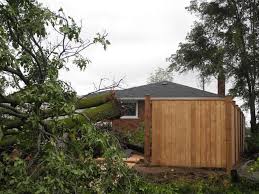 When i started searching for a tree removal company, i received a call back from jon the same day that i left a message. Tree Service Companies Kept Busy In Aftermath Of Storm Brantford Expositor