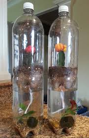 Self Sustaining Eco System Maker Camp Google Elementary Science Experiments Science Experiments Science Experiments Kids