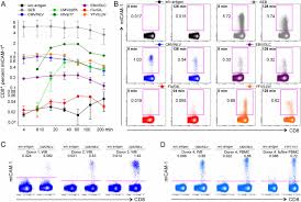 Activated Integrins Identify Functional Antigen Specific