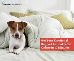 Get Your Emotional Support Animal Letter Online In 10 Minutes Animal Letters Emotional Support Animal Support Animal