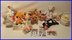 Ewey Ty Beanie Babies Rare