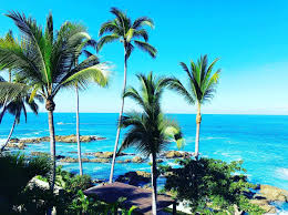 Always Take Some Time For Ocean Therapy Puertovallarta Mexico Welovepv Puerto Vallarta Vallarta Photo