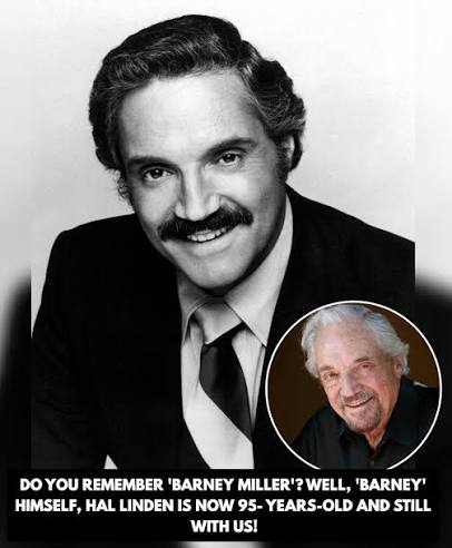 Do you remember Barney Miller? The quiet chaos of a New York precinct. The  deadpan humor. The endless parade of oddball cases that somehow felt more  real than any high-speed cop drama.