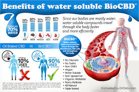 Chart Of Water Soluble Cbd Benefits