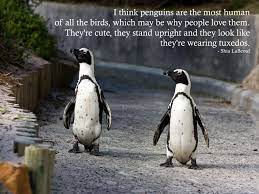 Check out our penguin quote selection for the very best in unique or custom, handmade pieces from our digital prints shops. Penguin Love Quotes Love Quotes Collection