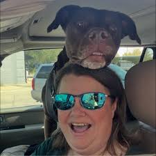 Galveston hotel to the cruise port. What is the best way? uber? Cost? A  shuttle? It is the Mardi Gras that weekend…